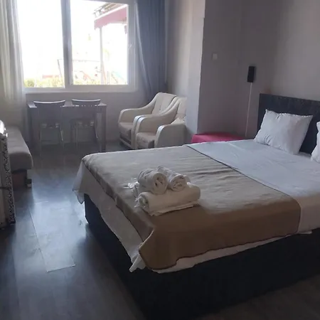 Homestay Palmiye *